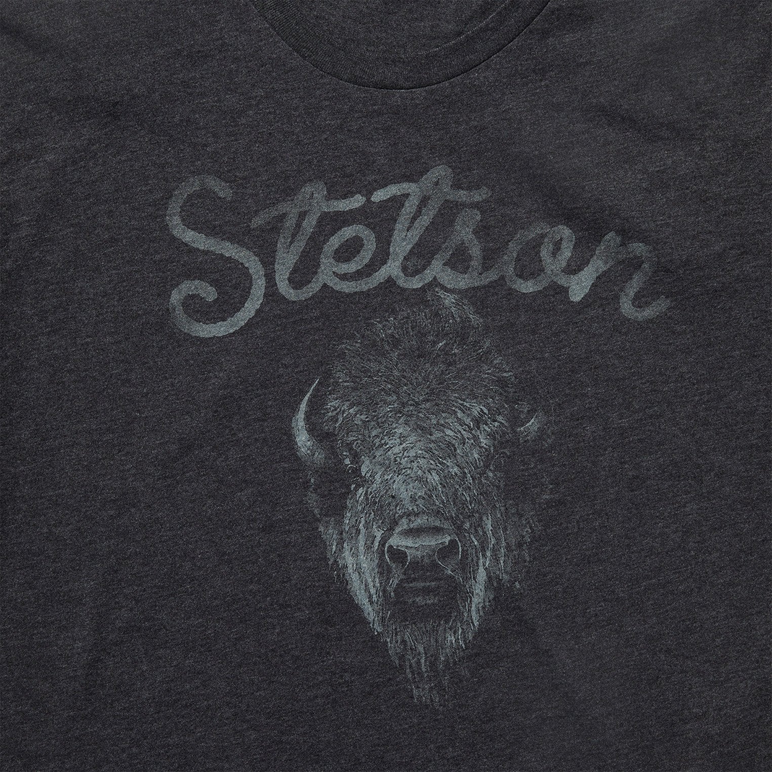 Bison Spirit Graphic Tee - Image 3