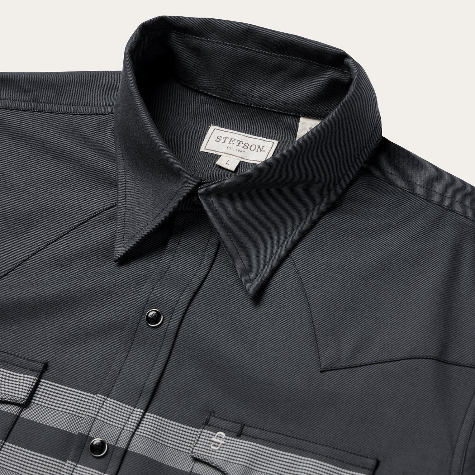 Border Stripe Twill Western Shirt - Image 3