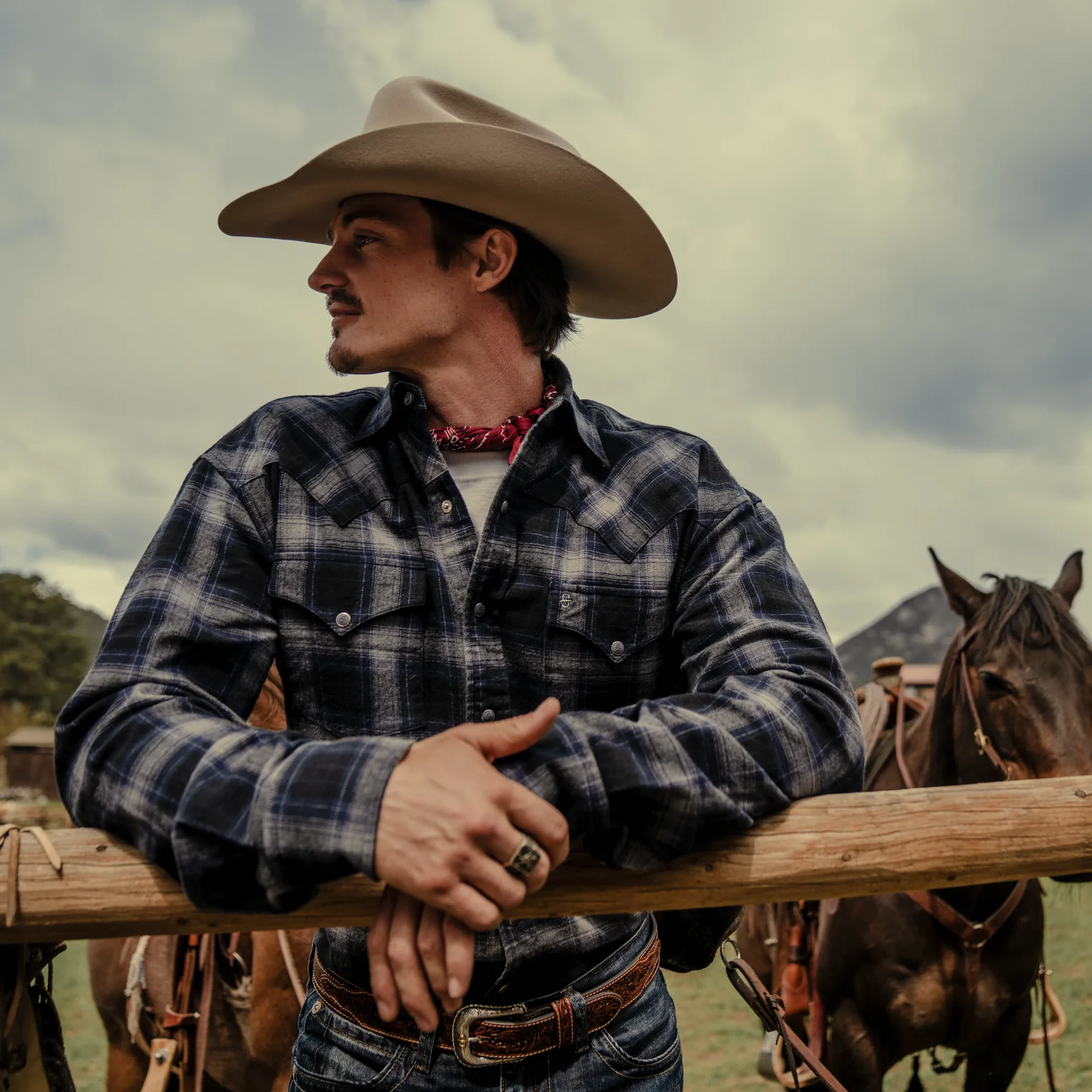 Brushed Twill Plaid Western Shirt - Image 2