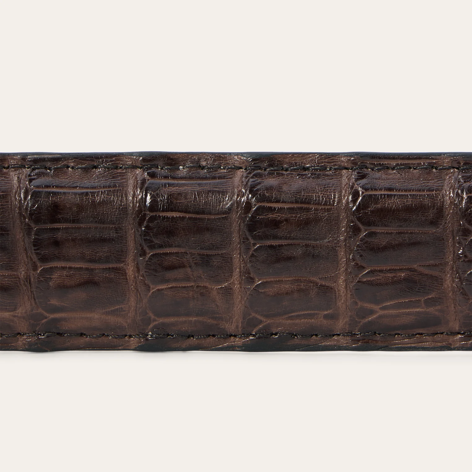 Caiman Western Tab Belt - 1 1/4" Width - Image 6