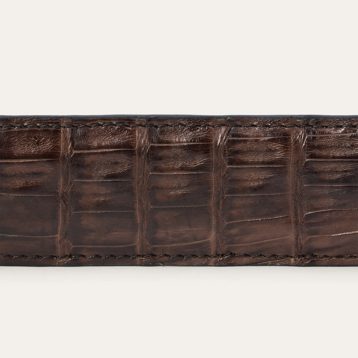 Caiman Western Tab Belt - Image 7