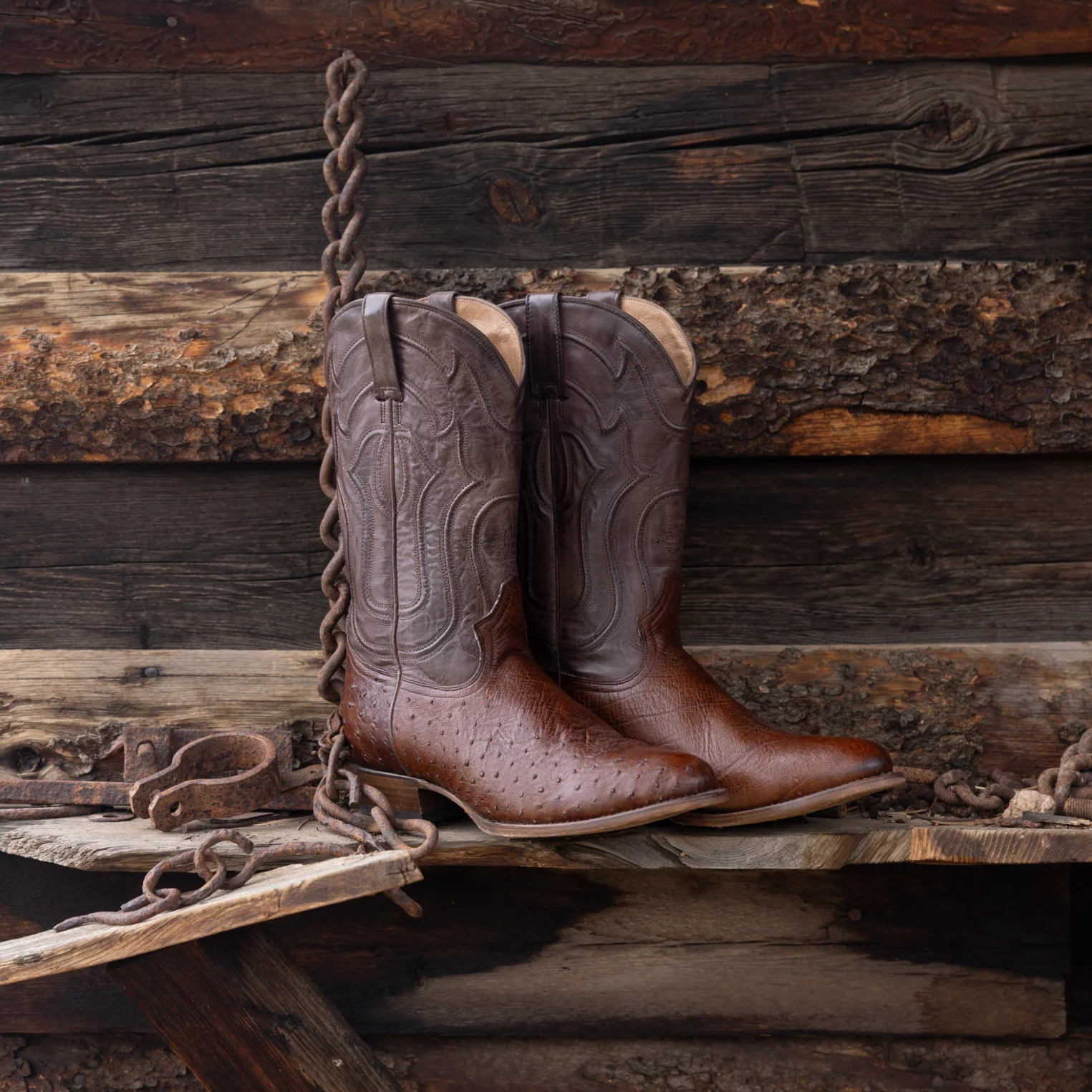 Chisholm Ostrich Boots - Image 2