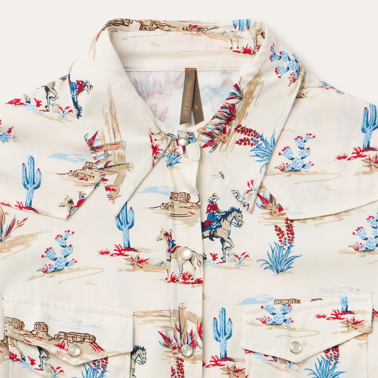 Desert Trail Print Western Shirt - Image 3