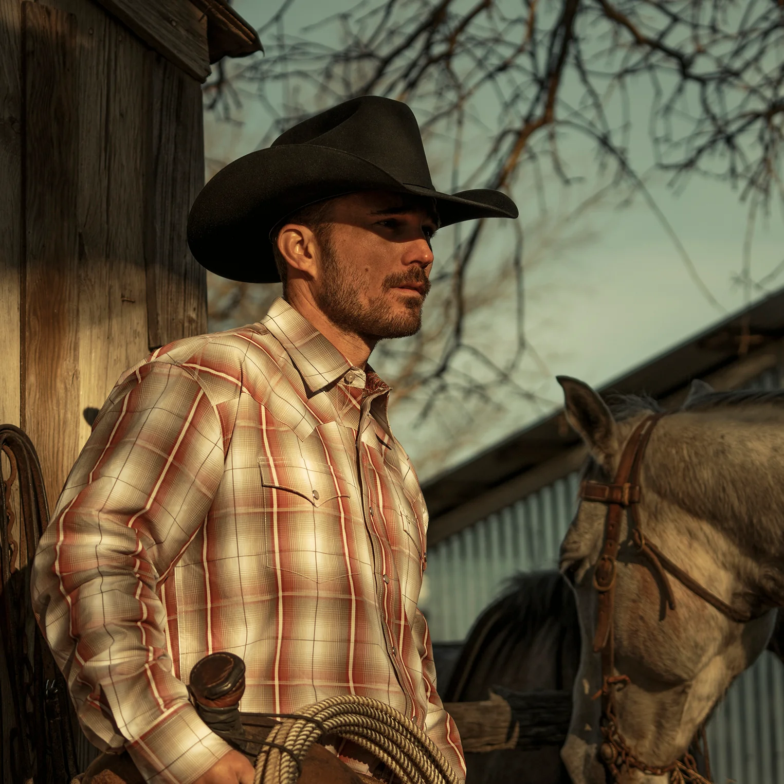 El Amo 500X Premier Cowboy Hat - Image 2