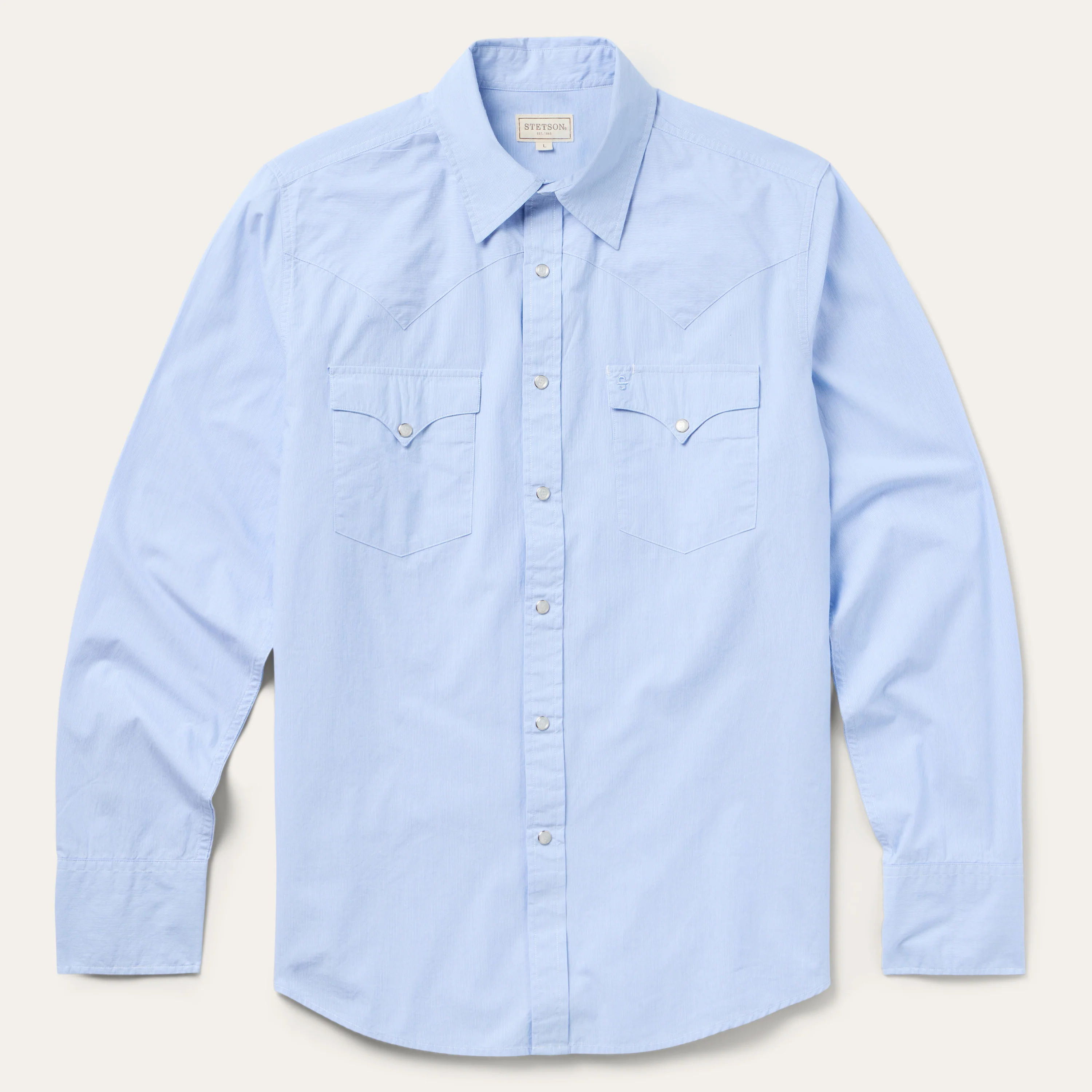 Fine Line Stripe Western Shirt