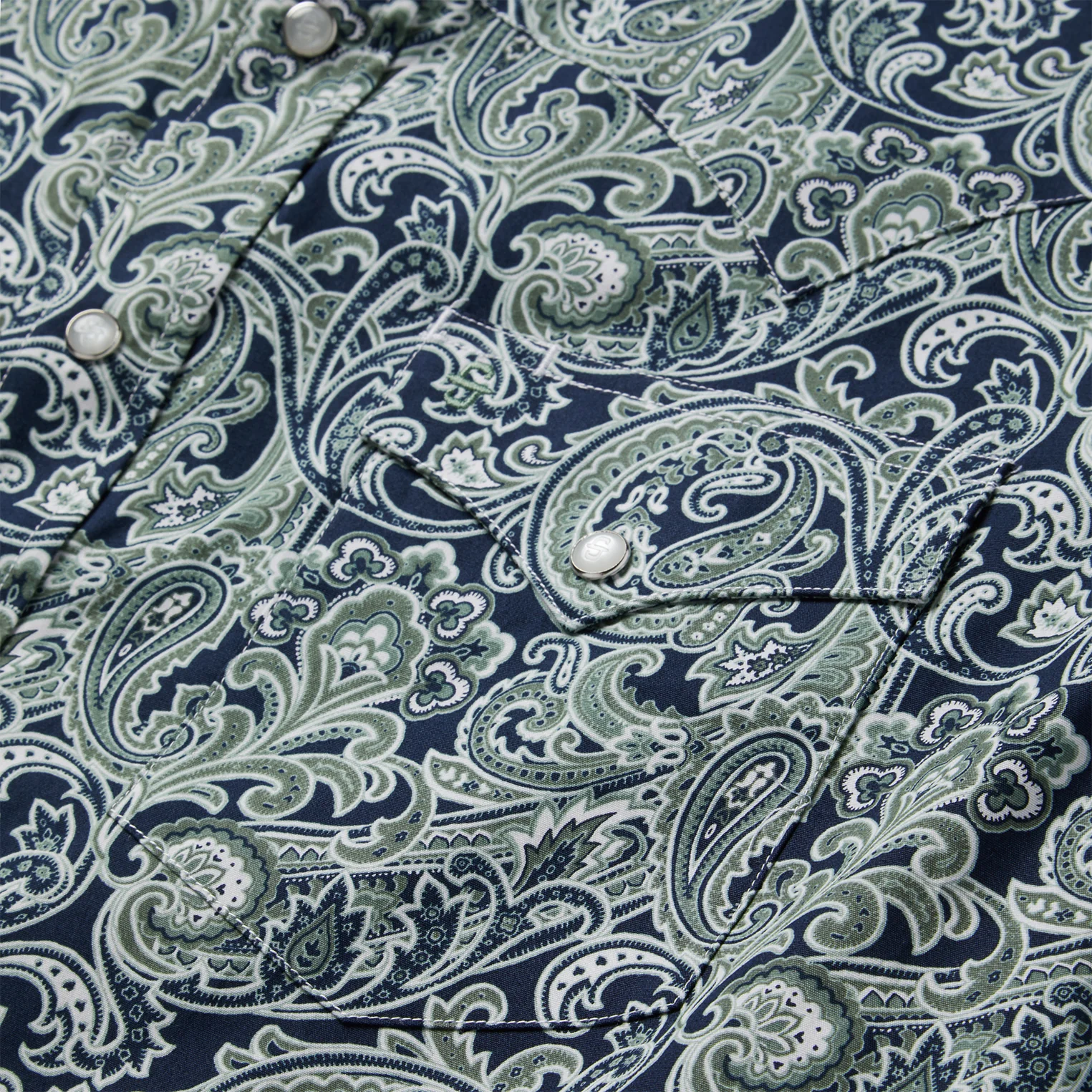 Greenspring Paisley Print Western Shirt - Image 4