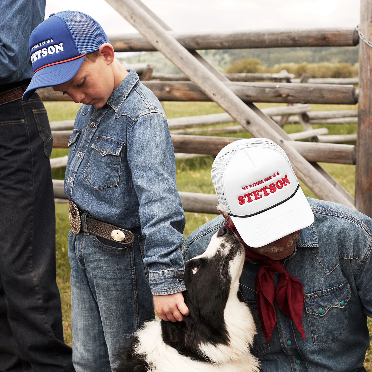 My Other Hat Is A Stetson Trucker Cap - Image 3