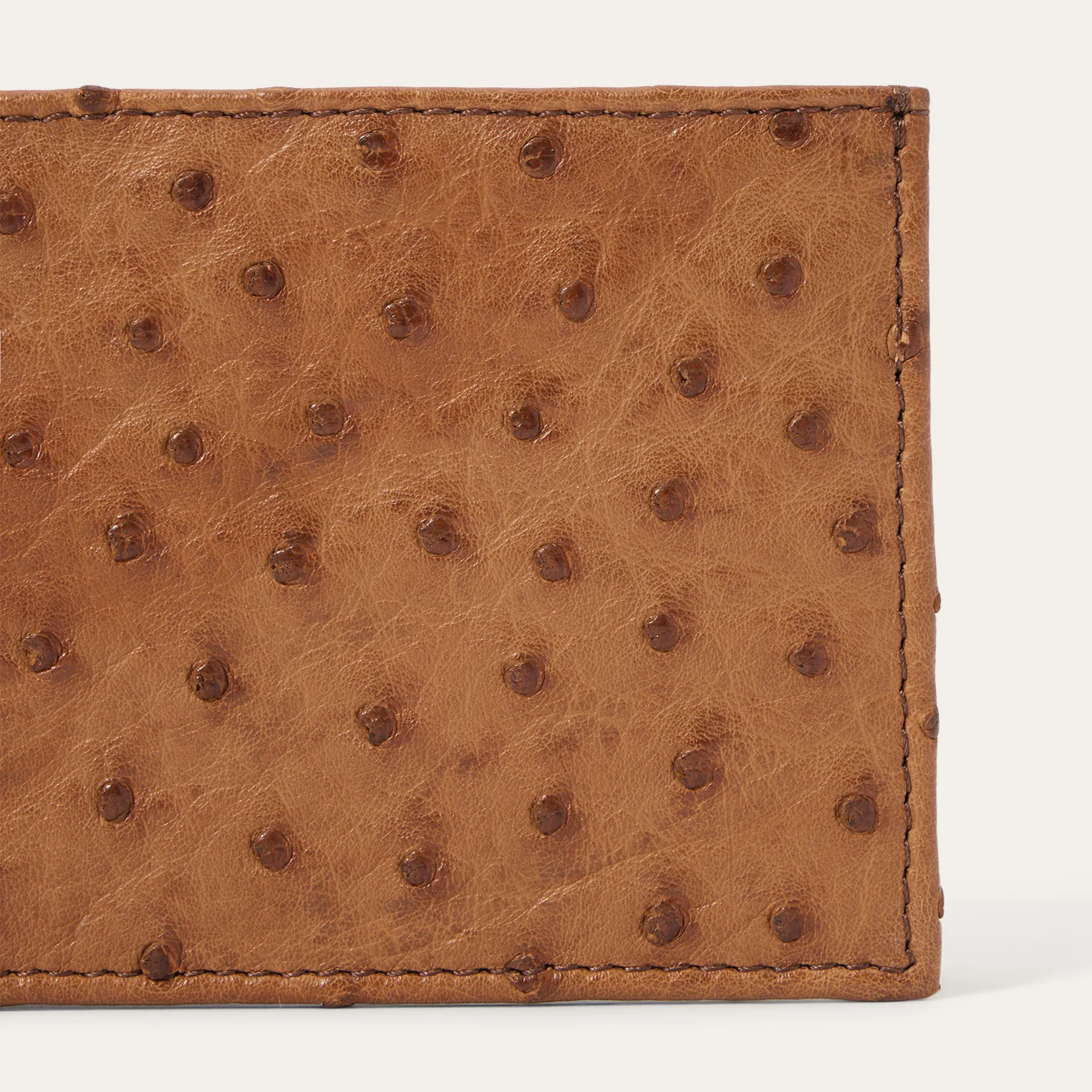 Ostrich Bi-Fold Wallet - Image 6