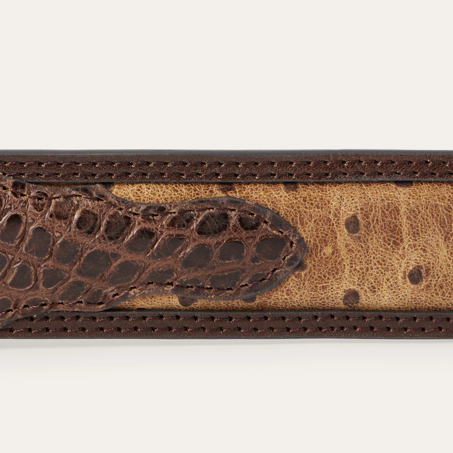 Ostrich Print Croco Embossed Western Tabs Belt - Image 7