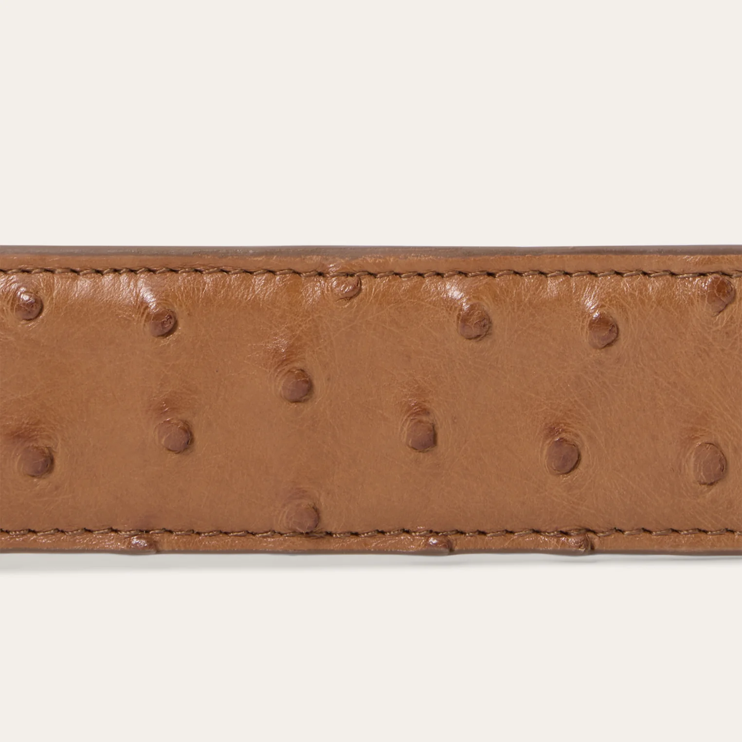 Ostrich Western Tab Belt - Image 6