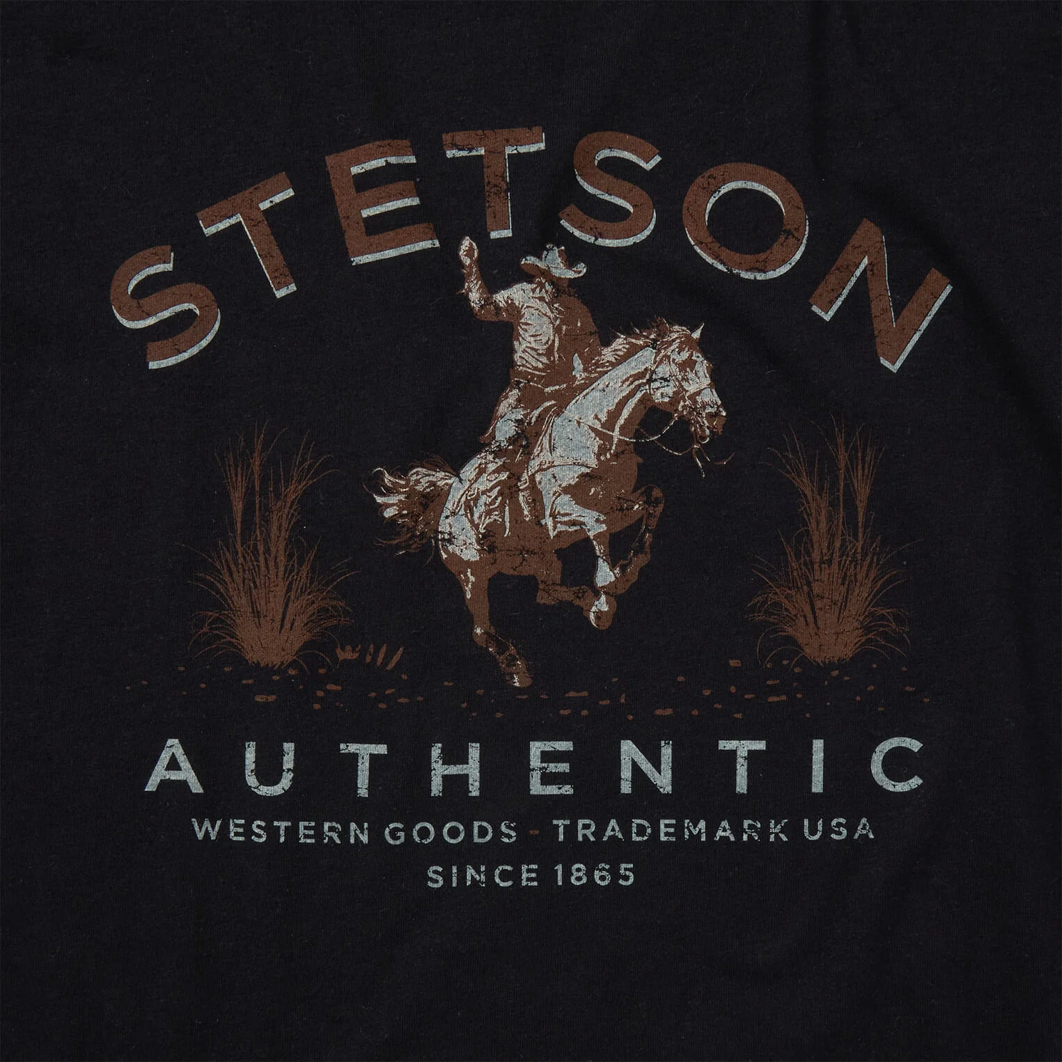 Stetson Authentic Graphic Tee - Image 3