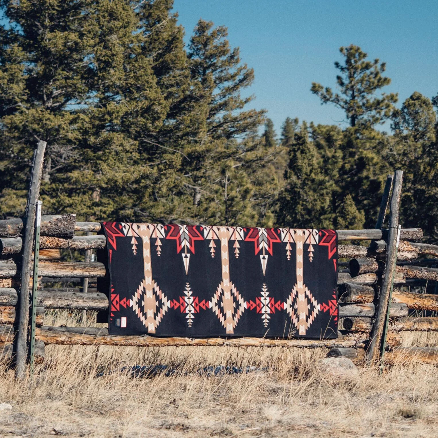Stetson x Lindsey Thornburg Pendleton Blanket - Image 3