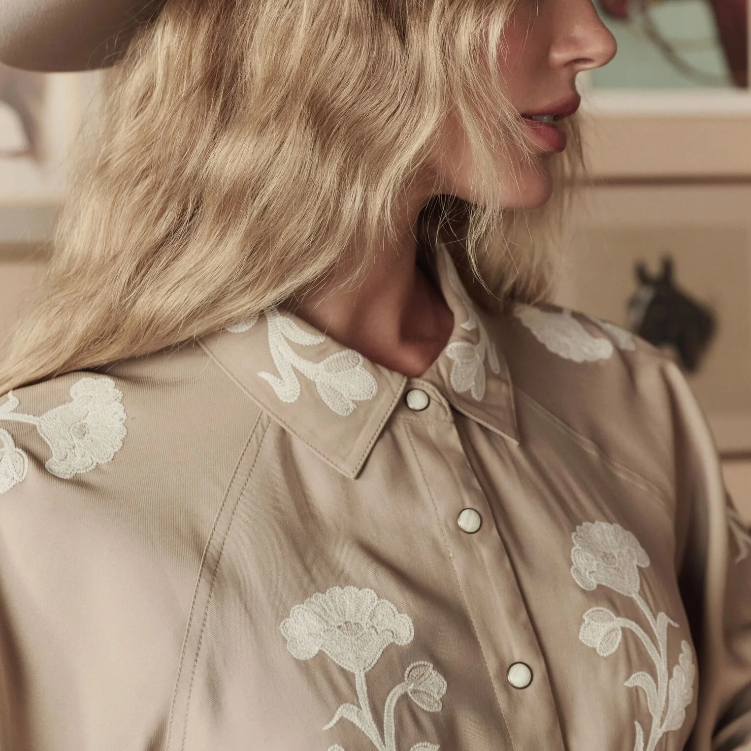 Stetson & THE GREAT. The Western Embroidered Herd Dress - Image 4